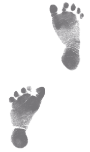 schritt 2