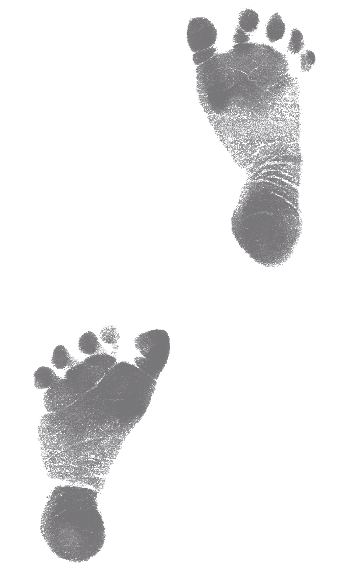 schritt 2