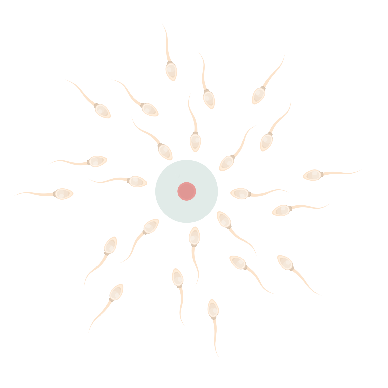 spot n